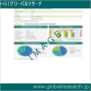 グローバルリサーチ調査レポートのイメージ